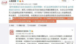 娱乐圈吃瓜作文素材,揭秘明星背后的“瓜”